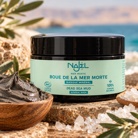 Boue de la Mer Morte – Masque Minéral